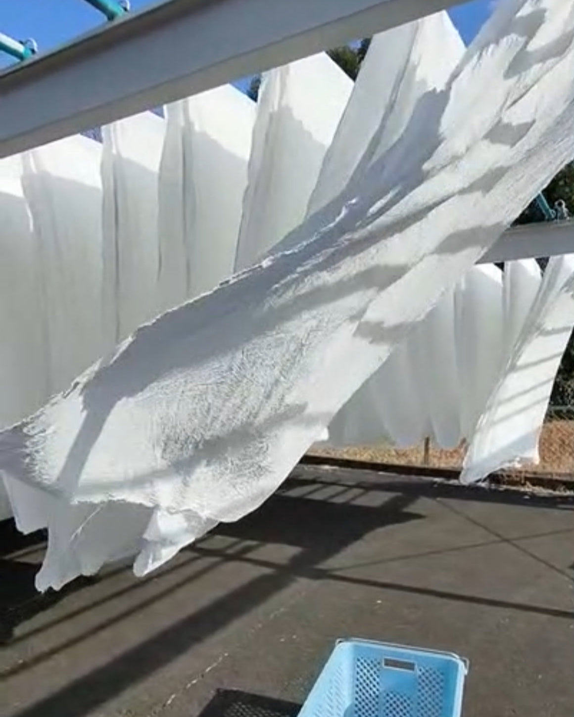 ティータオル 歌川 植木尽 Tea Towel  Plants